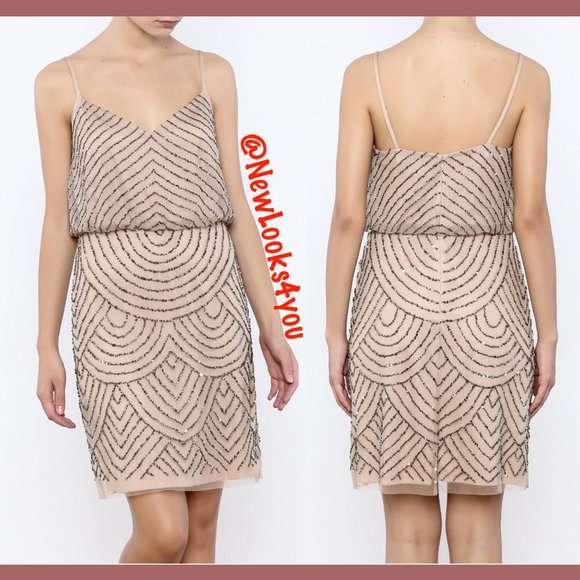 NEW Adrianna‎ Papell Beaded Mesh Blouson Dress in Taupe Pink [ 0 4 6 10 12 14 ] - Picture 11 of 16